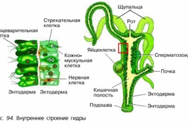 Кракен сайт как зайти