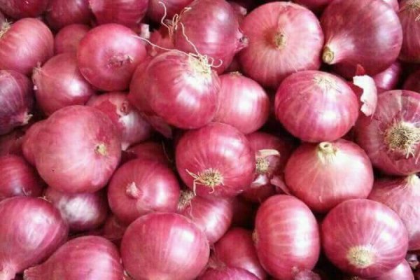 Кракен основная ссылка onion